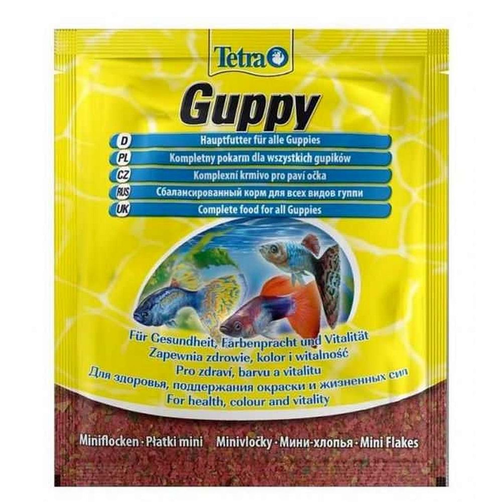 Tetra Guppy Lepistes Yemi 12 Gr.x 2 Adet