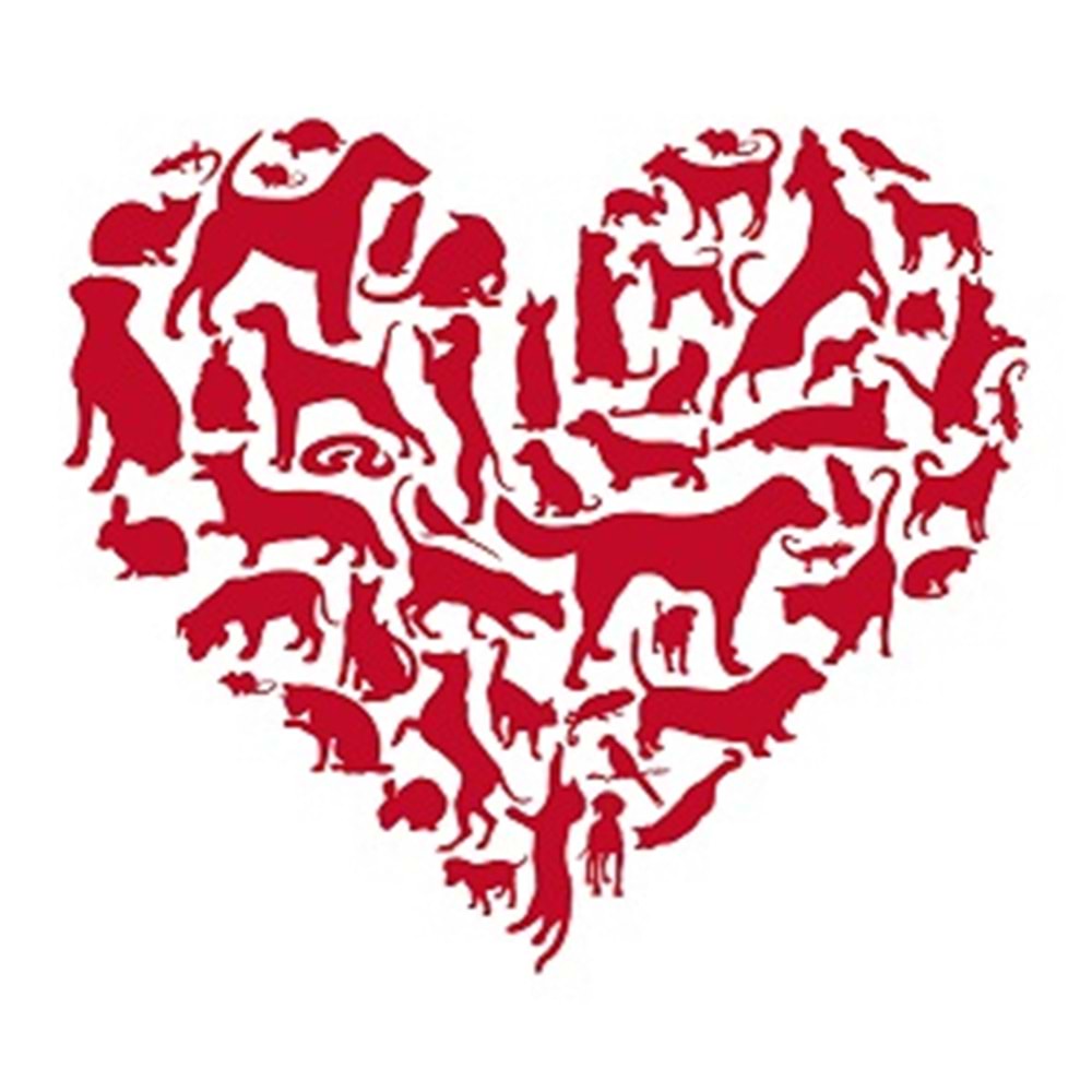 Celine Premium Kristal Kedi Kumu 1,4 Kg. x 2 Adet