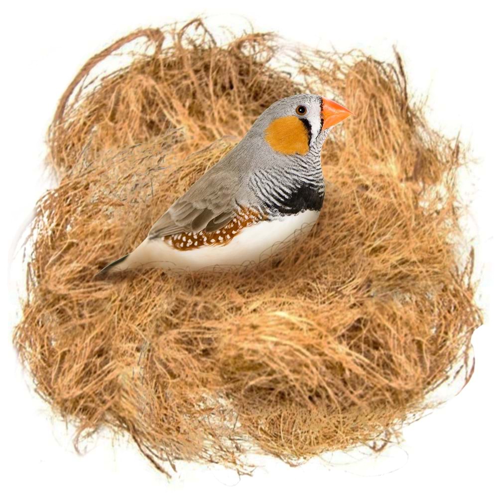 Hindistan Cevizi Kılı Yuva İpi Naturel (Nesting Fiber) 175-200 gr.