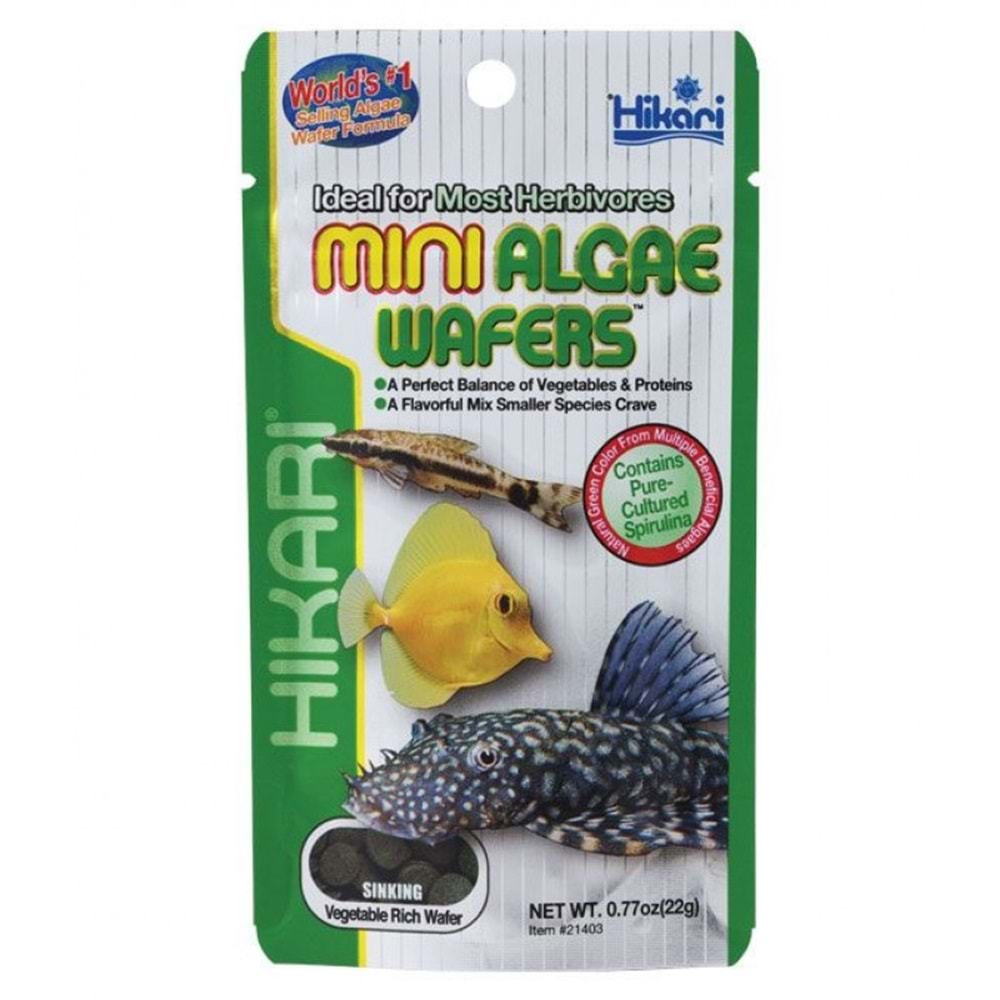 Hikari Mini Algae Wafers Sinking 22 gr.