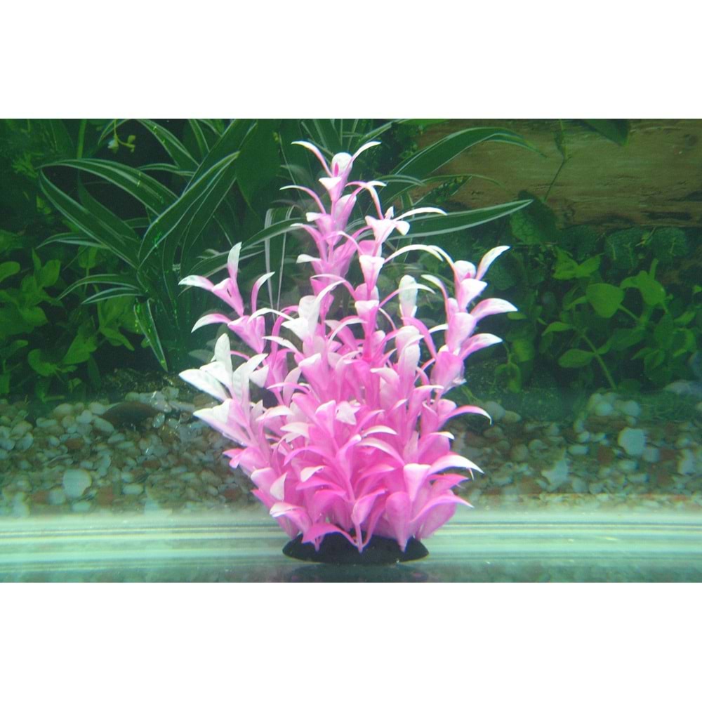 32174 Plastik Akvaryum Bitkisi 17-20 cm.