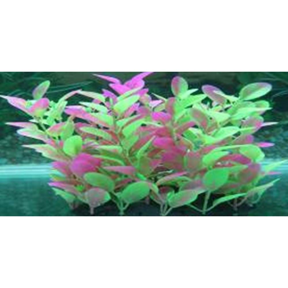 97205 Plastik Akvaryum Bitkisi 20 cm.