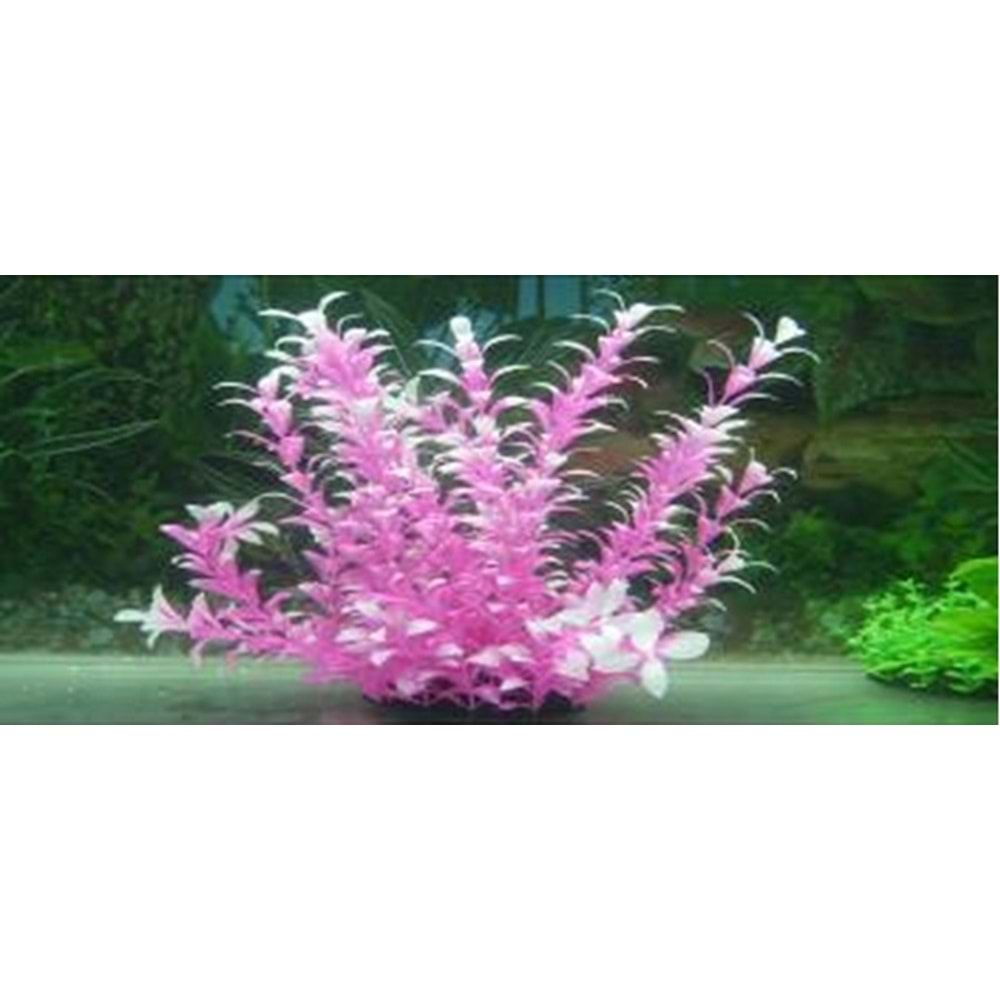 37304 Plastik Akvaryum Bitkisi 30 cm.