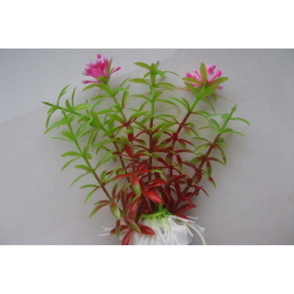 21061 Plastik Akvaryum Bitkisi 6 cm.