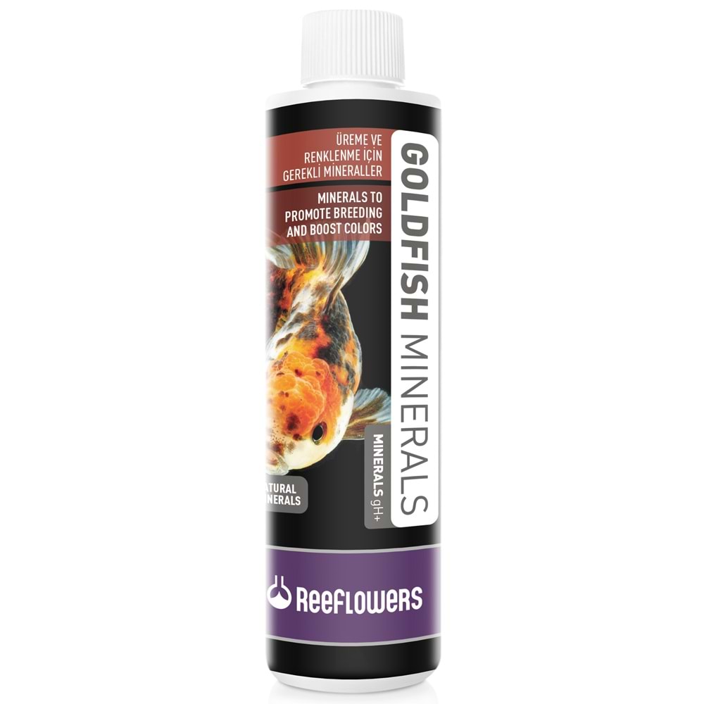 Reeflowers GoldFish 500 ml