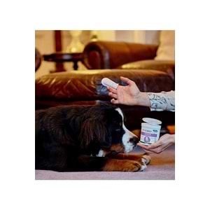 Vet's Best Kedi&Köpekler Fındık ve Aloe Vera Özlü Kulak Temiz.Ped 50li