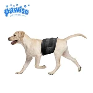 Pawise Kullan at Erkek Köpek Çiş Bezi Siyah M 12 Ad