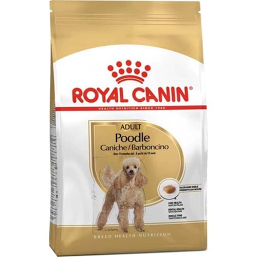 Royal Canin Poodle Yetişkin kuru köpek maması 1,5 Kg.