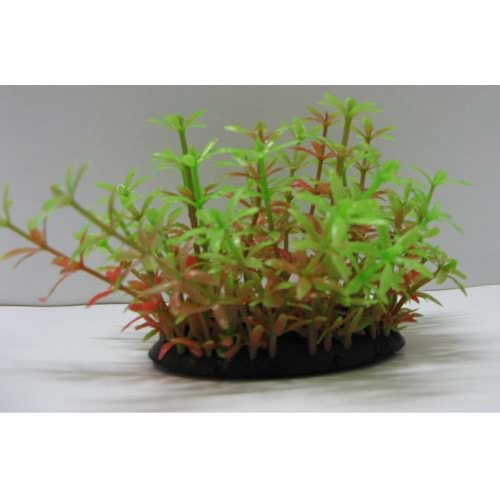 24081 Plastik Akvaryum Bitkisi 8 cm.