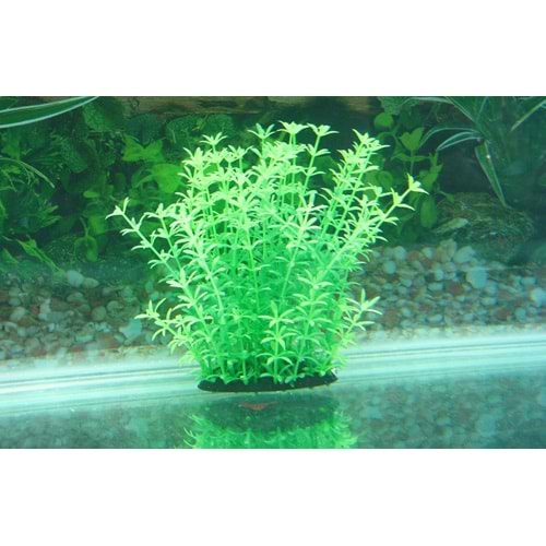 24172 Plastik Akvaryum Bitkisi 17 cm.