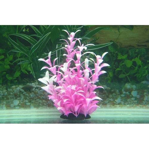 32174 Plastik Akvaryum Bitkisi 17-20 cm.
