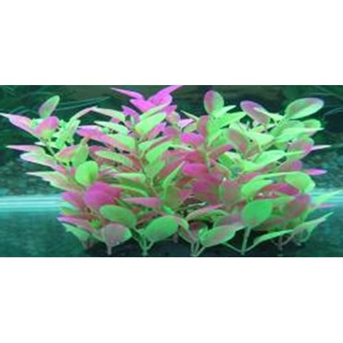 97205 Plastik Akvaryum Bitkisi 20 cm.