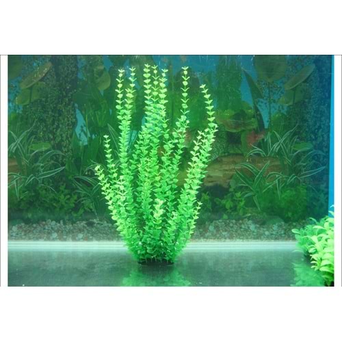 45432 Plastik Akvaryum Bitkisi 43 cm.