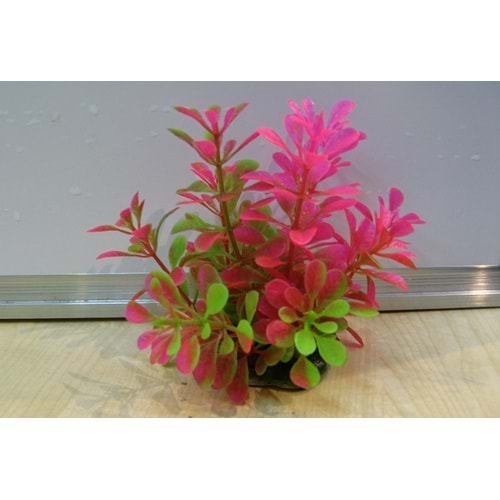 220076 Plastik Akvaryum Bitkisi 7 cm.