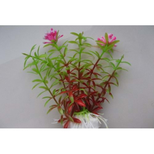 21061 Plastik Akvaryum Bitkisi 6 cm.