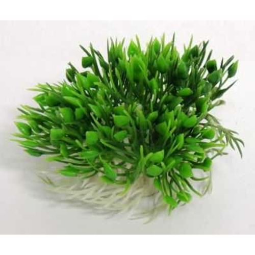 A40081 Plastik Akvaryum Bitkisi 4 cm.