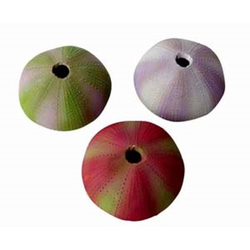 KA-262 Akvaryum Dekoru 7,5x7,5x4,5 cm. 1 Adet