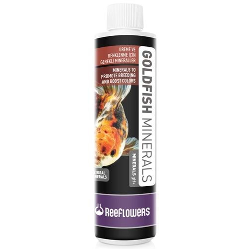Reeflowers GoldFish 500 ml