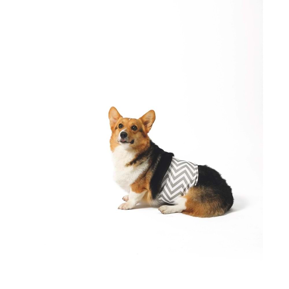 M-Pets Erkek Köpekler İçin Yıkanabilir Külot Bez 17,7-22,8cm [XS]