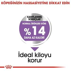 Royal Canin Mini Sterilised Kısırlaştırılmış Köpekler için Yetişkin Köpek Maması 3kg