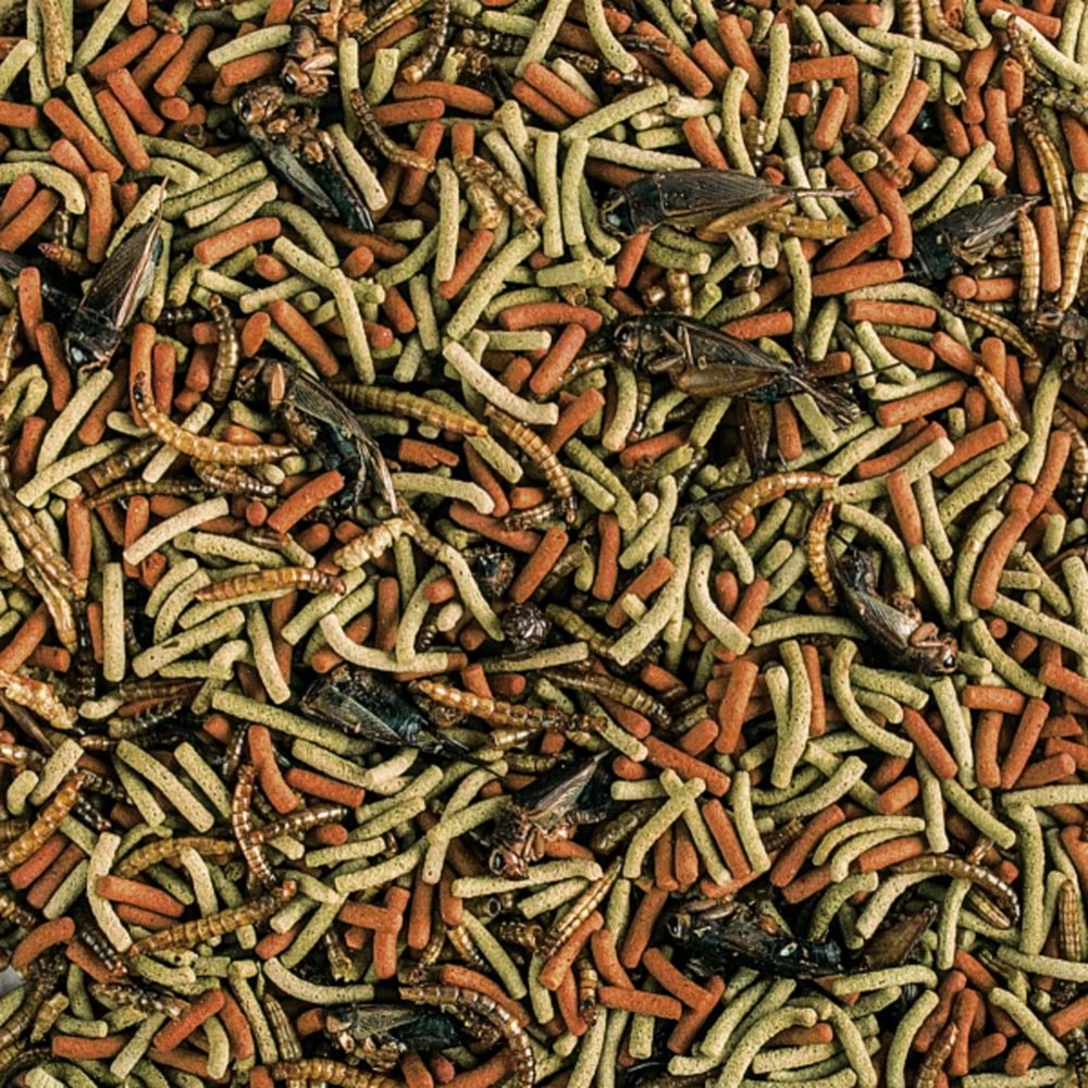 Tropical- Reptiles Carnivore Soft 1000Ml/260Gr-11626