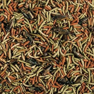 Tropical- Reptiles Carnivore Soft 1000Ml/260Gr-11626